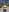 daddys_girl23's photo