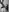 TenaTretina's photo