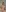 do you like women with glasses?