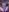 -ethan7inches-'s photo