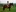 horse day / dia de caballo