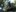 wankcellar's photo