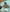 DominicSccott's photo