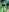 _Luna_Ly's photo