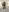transbate's photo