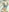 siminafoxx4uu's photo