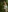 JoyceJones's photo