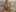 HotDelightXxx's photo