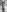 BusyLizzy's photo