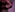 Him and i