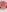 Evelynn's photo