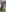 Exclusive bikini photos