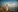 BeautyeyesLovely's photo