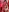 tiffanyandClark's photo