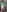 feyre98's photo