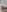 MariaRichi_'s photo