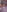 Charlotte__Benett's photo