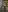 lil_shouty_bitch's photo
