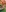Exclusive bikini photos
