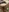Miaelis's photo