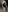 AllanaSquirt's photo