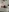 Chikinela's photo