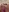 Cherry_Blaster's photo