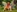 Emma_lean's photo