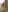your_bunnygirl's photo