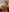 Fanclub Exclusive Nudes