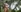 Pussy and ass flash in the woods