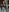 MelissaDouglas's photo