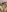 EmmaContreras_Val's photo