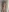 PHOTO SURPRISE numéro 4