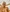 meuhmeuhxxx's photo