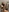wwwdddccc1's photo
