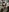 Lexisexi17's photo