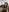 CurvySashia's photo