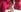 Naked with Tet background
