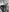 clarabell4's photo