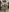Sarahs very naughty nude & explicit pictures inc close up's