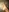 coppiapig2022's photo