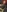 candyladyboy's photo