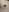 Cookieboy88's photo