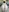 Nude selfies