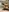 Alice_N_Wooderland's photo