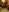 sex-withcouple's photo