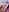 Blair_Elliss's photo
