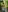 Bryan_robayo5's photo