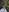 BootyTrisha's photo